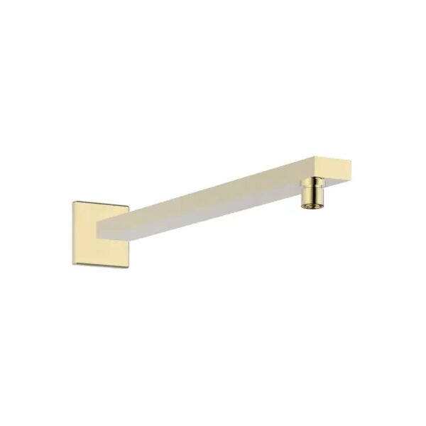 SA 0156113-31 SWISH Shower Arm